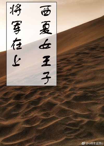 (將軍在上同人)將軍在上 西夏女王子