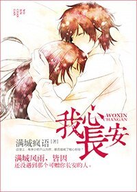 我心長安