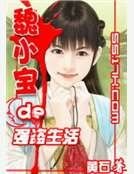 魏小寶的強盜生活
