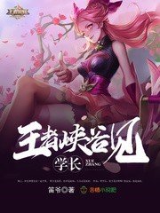 学长，王者峡谷见