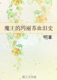 魔王的玛丽苏血泪史