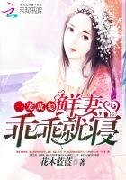一宠成瘾:鲜妻,乖乖就寝