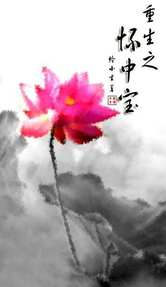 重生之懷中寶