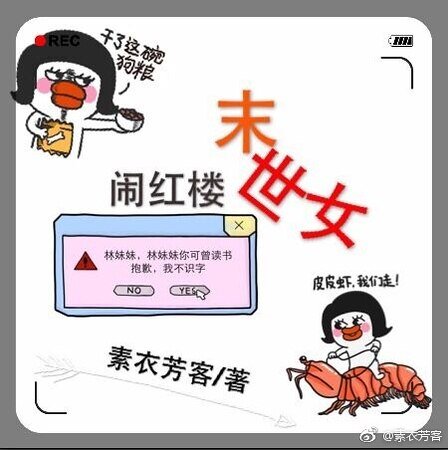 (红楼同人)末世女闹红楼