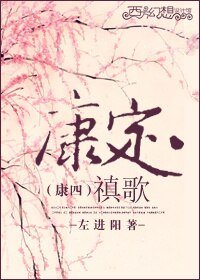 (康四同人)康定禛歌