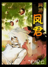 凤君(网游)