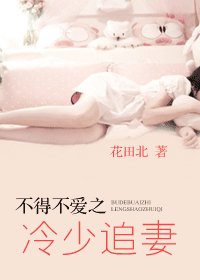 《不得不愛之冷少追妻》