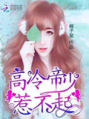 高冷帝少,惹不起