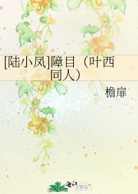 [陸小鳳]障目（葉西同人）