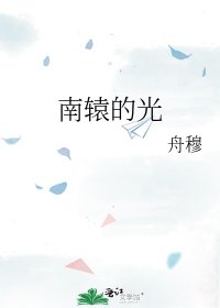 南轅的光