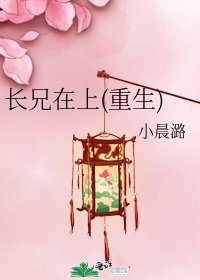 長兄在上(重生)