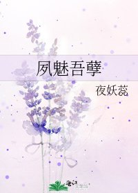 夙魅吾孽