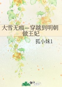 《大雪無痕—穿越到明朝做王妃》