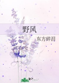 野风