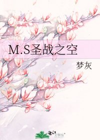 《M.S聖戰之空》