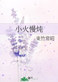 小火慢燉