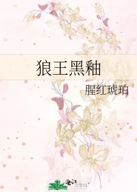 狼王黑釉