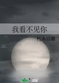 我看不見你