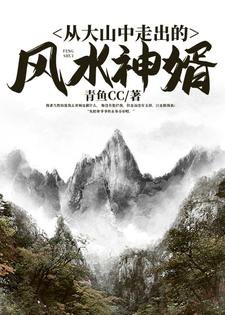 《從大山中走出的風缠神婿》
