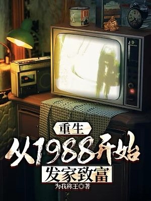 重生:从1988开始发家致富