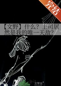 《(文野同人)【文野】什麼?上司居然是我的唯一天敵?》