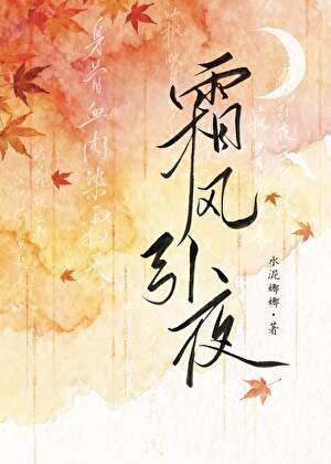 《霜風引夜》