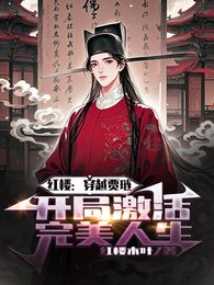 紅樓：穿越賈璉開局啟用完美人生