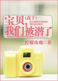 宝贝,我们被潜了(高干)