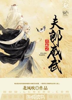 《穿越之夫郎威武》